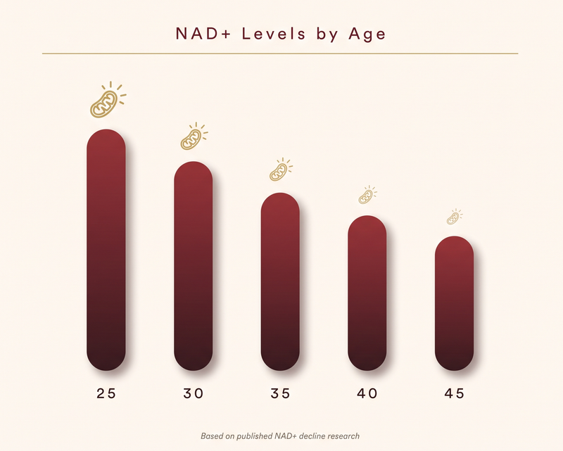 NAD+ Depletion