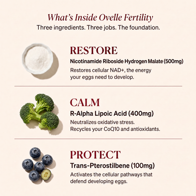 Ovelle Fertility