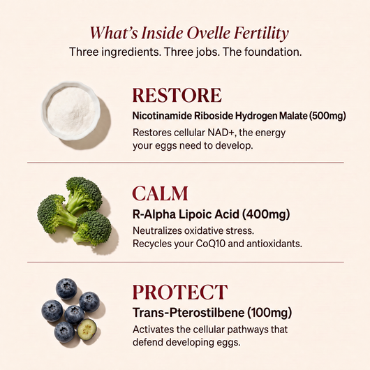 Ovelle Fertility