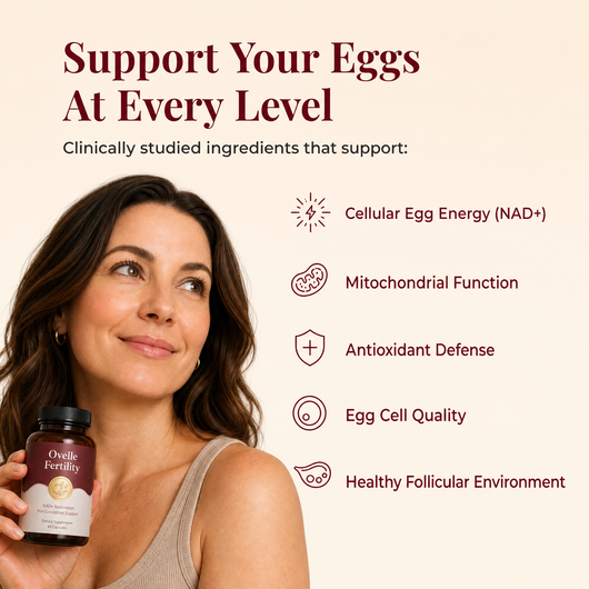 Ovelle Fertility